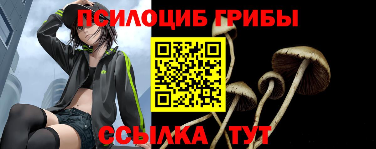 Галлюциногенные грибы Cubensis  Галлюциногенные грибы MAGIC MUSHROOMS  Вход с VPN  Каменка 